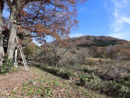 期間貸別荘　蒜山中福田の物件写真